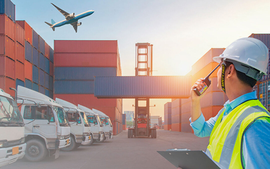 PRIMER ACERCAMIENTO AL ARTÍCULO 10° DEL D. LEG N° 1492   ¿Cuán protagónico podría ser el rol del almacén aduanero en la diligencia de inspección por visualización remota a cargo de la entidad pública?